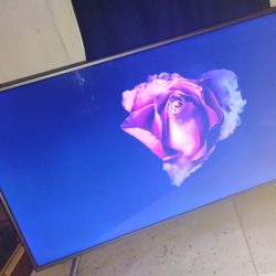 Sharp 2160p 4K  54.6" 
SHARP LC-55P6000U (PSL033746)