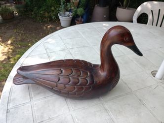 Duck Decoy