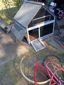Outdoor Wooden Chicken Coop with Ramp