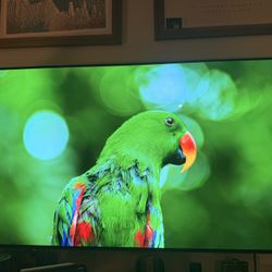 LG 55” HDR 4K (2160p) Smart OLED (OLED55C8AUA)