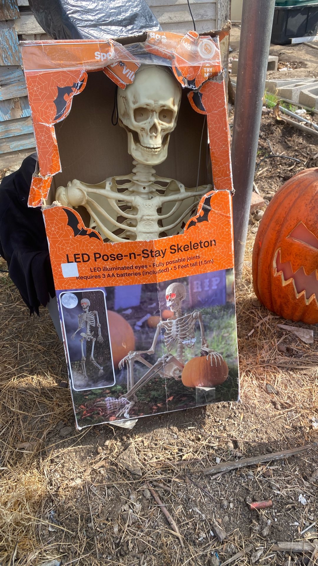 Halloween Decorations For Sale