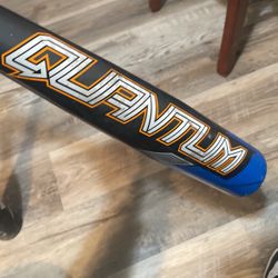 Easton Quantum Bat