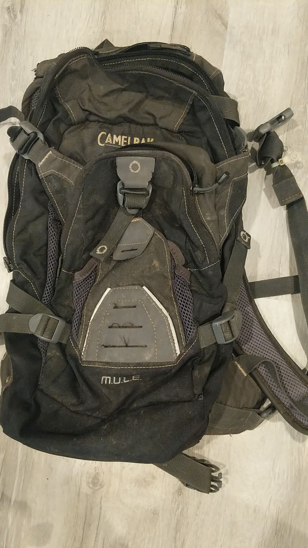 Camelback Mule hydration pack