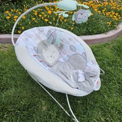 Baby Bouncer 