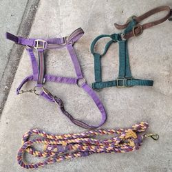 Horse Halter & Lead Rops