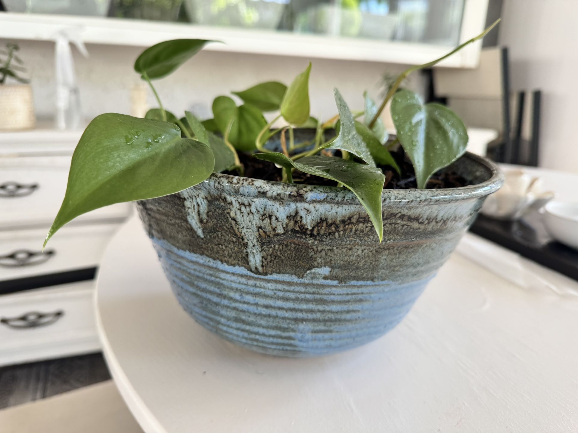 Lovely Hand Made Clay Pot With Beautiful Indoor Plant
