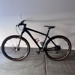 Mountain bike-$1200