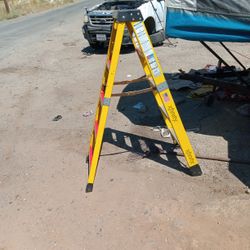 5 Foot Step Ladder