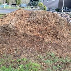 Free Wood Chips 