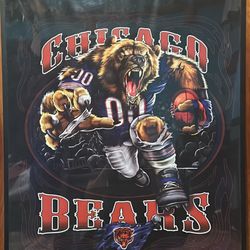 Chicago Bears picture