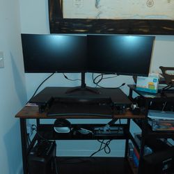 A dual-screen stand and an adjustable desk station.
