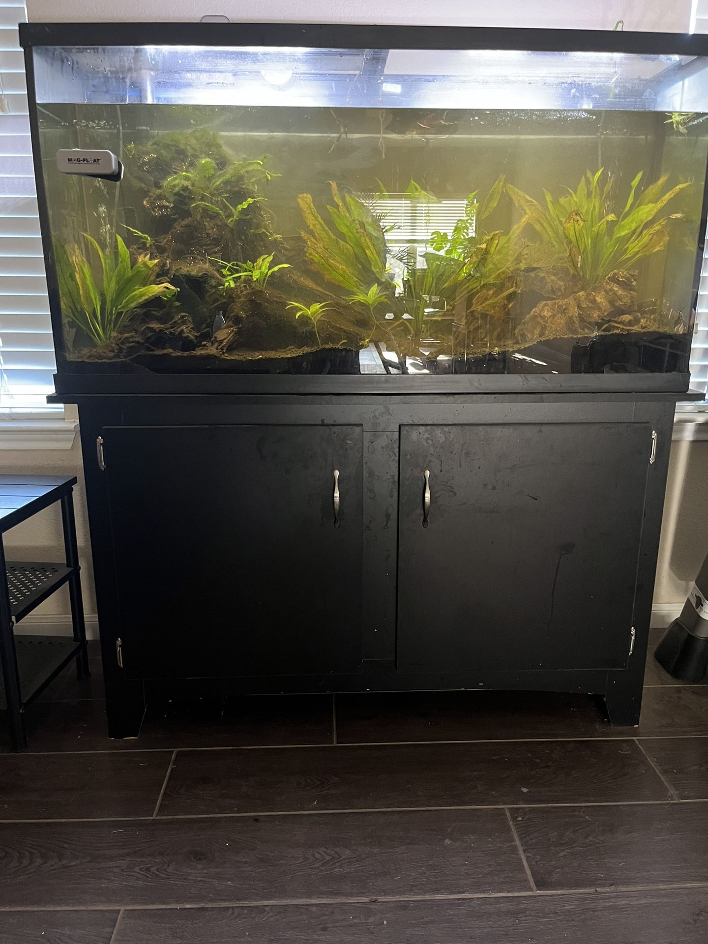 60g Fish Tank, Stand, Filters, Heater