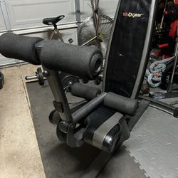 SA Gear Weight Bench