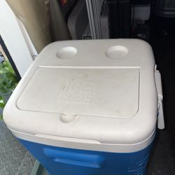 Cooler 