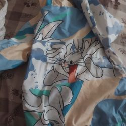 Looney Tunes Windbreaker 