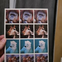 Vintage Current, Inc. Photo Jumbo Sticker Pack Animals
