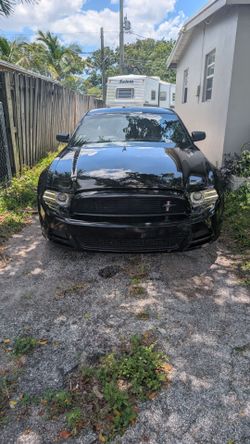 2013 Ford Mustang