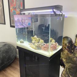 55 Gallon Saltwater Aquarium Full Set Up With Stand for Sale in Pasadena,  CA - OfferUp