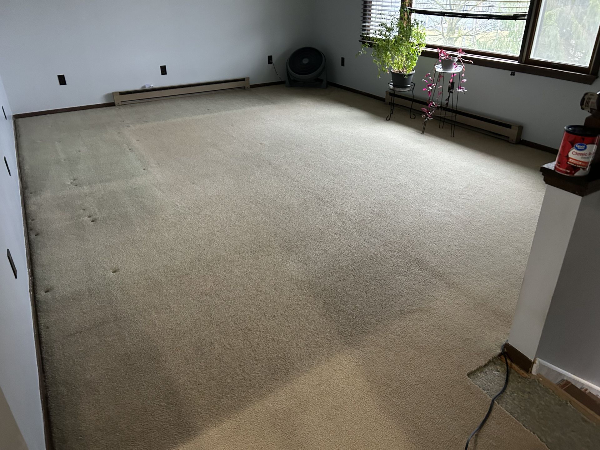 Used carpet 13’x17’