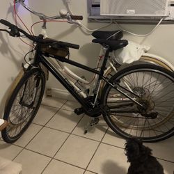 Cannondale Quick 6 Bike 