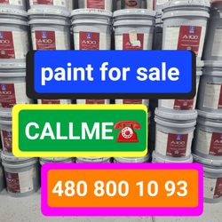 Paint 