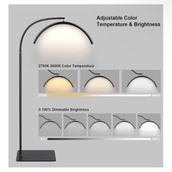 Half Moon Led Light $25