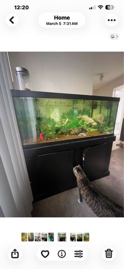 75 gallon Fish tank for sale