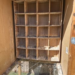 Chicken ,pigeon,dove , Quail Chicks Kitbox 