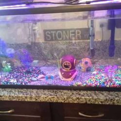 70 Gallon Fish Tank With Decor And Filter