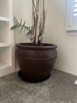 Moving plant sale