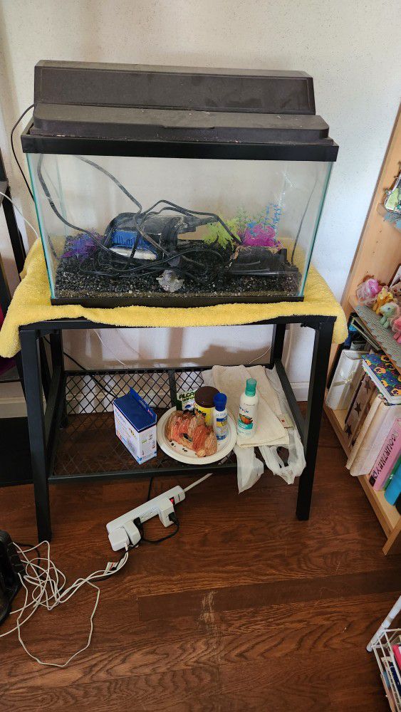 10 GALLONS FISH TANK, STAND W/ACCESSORIES 