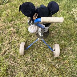 Golf Clubs and Caddy