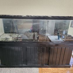 125 Gallon Fish Tank