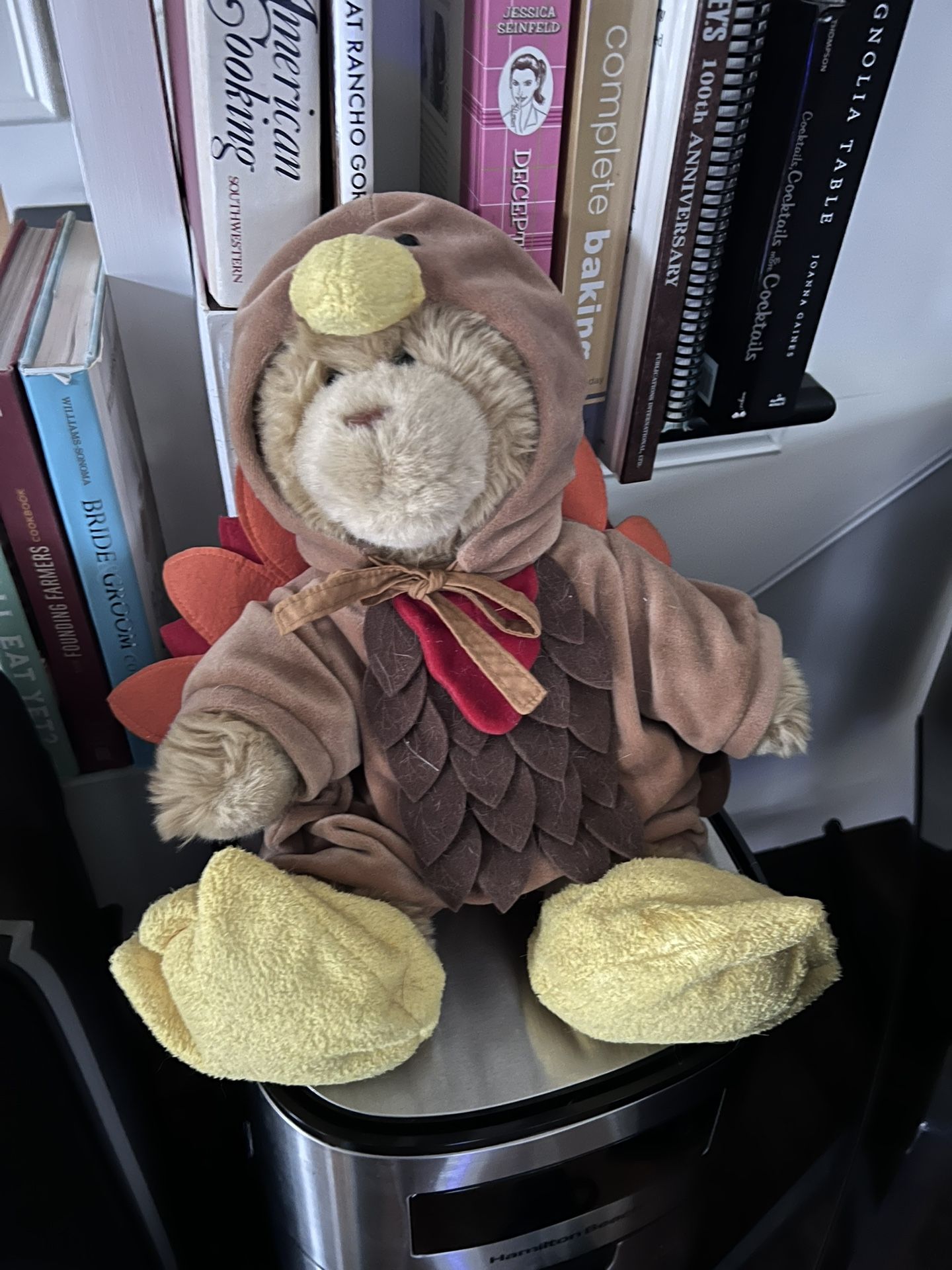 Build-a-Bear Thanksgiving Turkey Pilgrim Plush