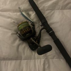 Daiwa BG 5k With Shimano Talavera 7ft Boat Rod