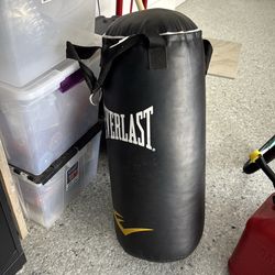 Everlast punching bag