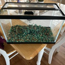 Aquarium Lid With Tank