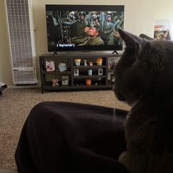 55” tv tcl roku
