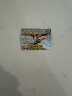 We are panini sticker