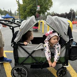Larktale stroller Wagon
