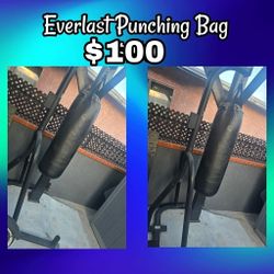 Everlast Punching Bag