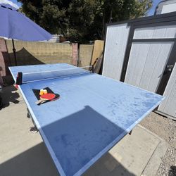 Ping Pong Table