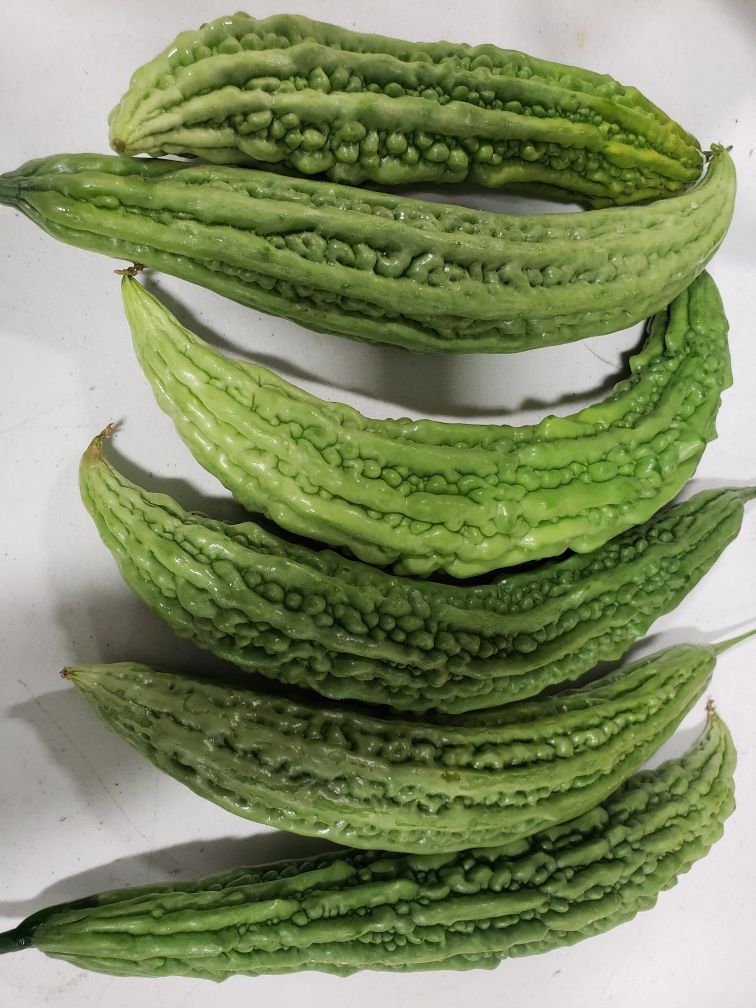 Bitter melon seeds 2020