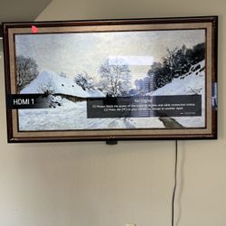 LG Television, OLED65CXAUA “Frame”