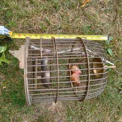 Brass Bird Cage $50