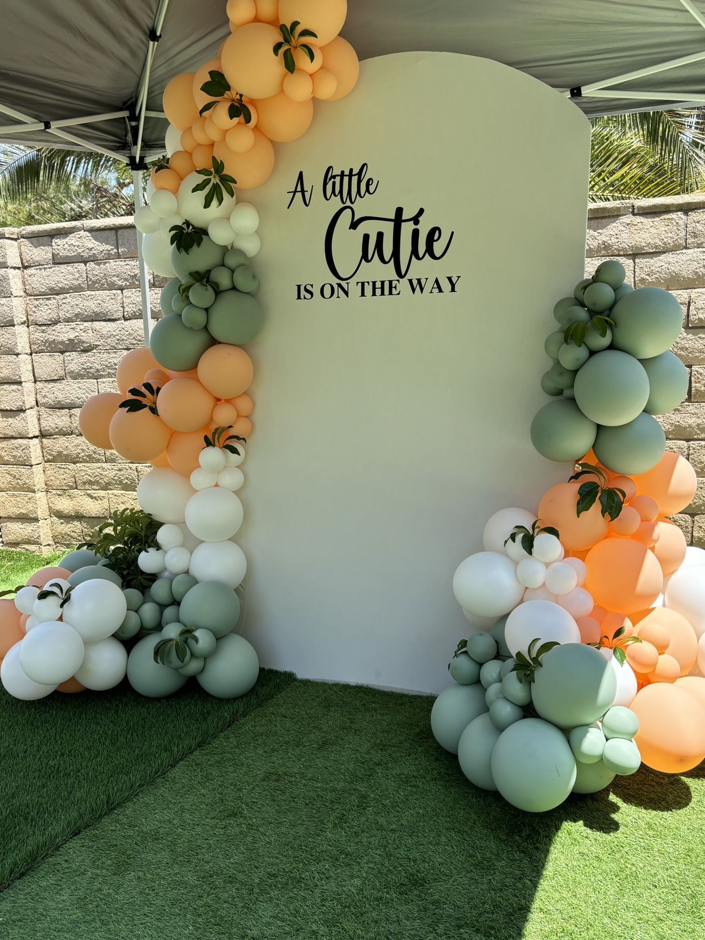 Gender Reveal Balloon Garland