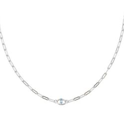 The Evil Eye PaperClip Necklace