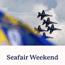 Seafair Tickets for Sell