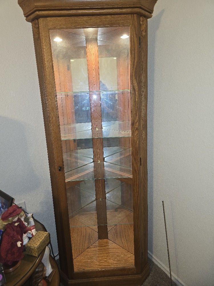 Pulaski Corner Curio Lighted Cabinet