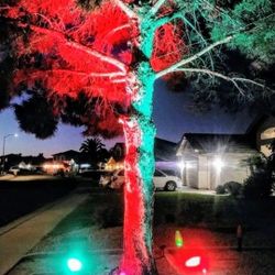Red/Green 12" Oversized LED Christmas Lights
